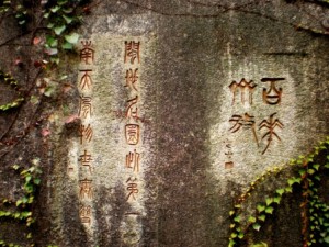 Język chiński na Żoliborzu IN WONDERLAND